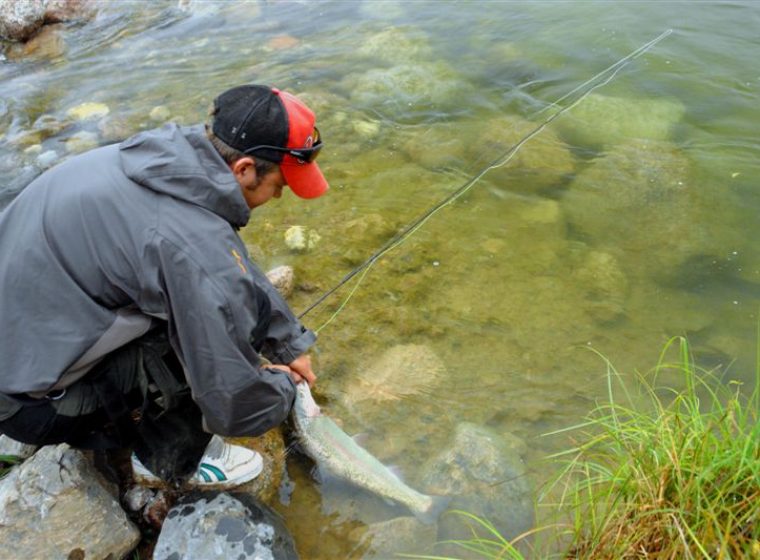 man caught a fish