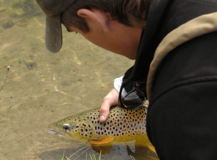man caught a fish