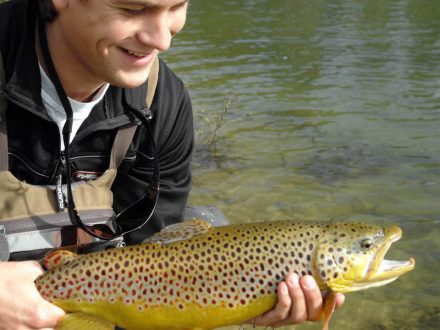 Person holding a fish
