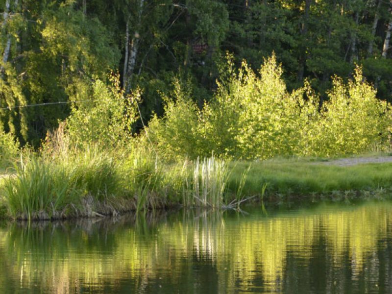 A person throwing the fishing line